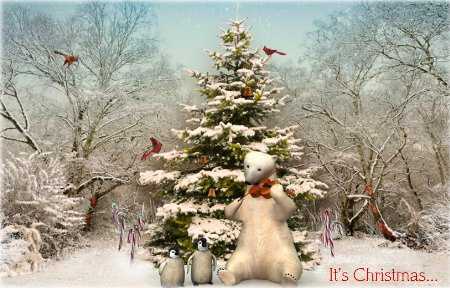 navidad-blue-montain